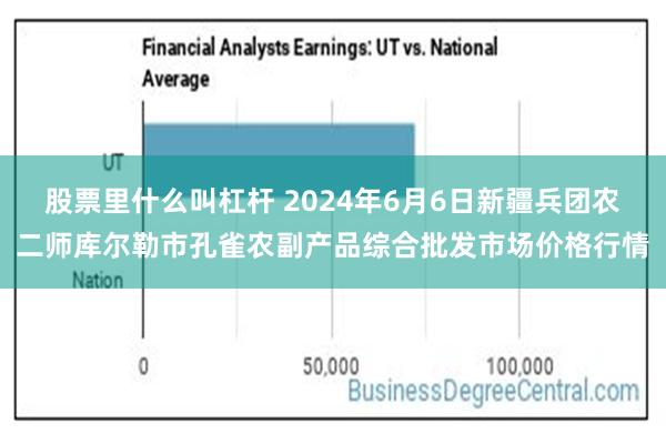 股票里什么叫杠杆 2024年6月6日新疆兵团农二师库尔勒市孔雀农副产品综合批发市场价格行情