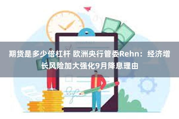 期货是多少倍杠杆 欧洲央行管委Rehn：经济增长风险加大强化9月降息理由