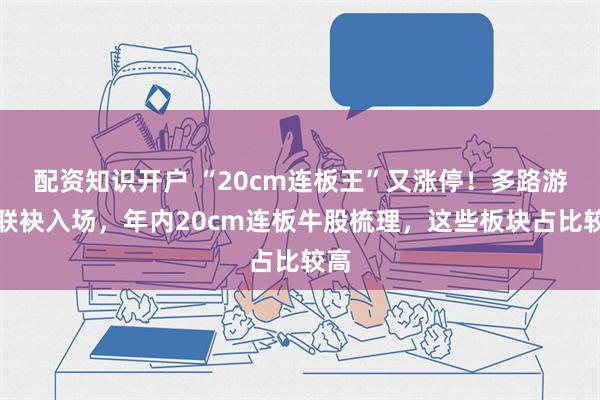 配资知识开户 “20cm连板王”又涨停！多路游资联袂入场，年内20cm连板牛股梳理，这些板块占比较高