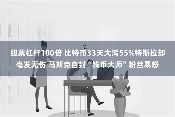 股票杠杆100倍 比特币33天大泻55%特斯拉却毫发无伤 马斯克自封“钱币大师”粉丝暴怒