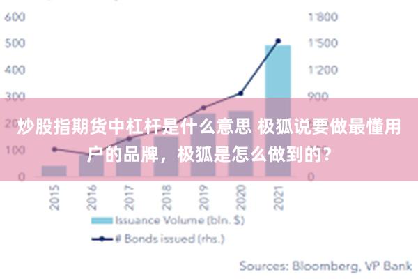 炒股指期货中杠杆是什么意思 极狐说要做最懂用户的品牌，极狐是怎么做到的？