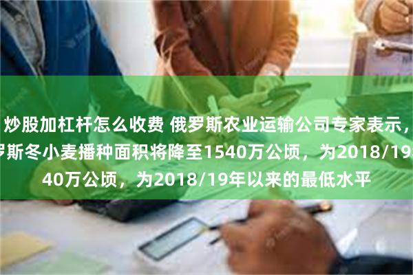 炒股加杠杆怎么收费 俄罗斯农业运输公司专家表示，2025/26年，俄罗斯冬小麦播种面积将降至1540万公顷，为2018/19年以来的最低水平