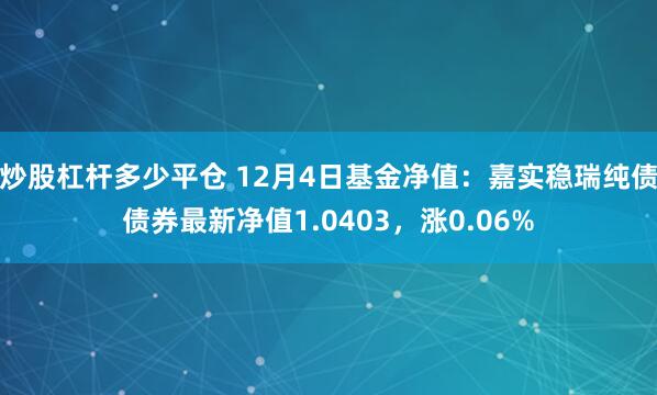 炒股杠杆多少平仓 12月4日基金净值：嘉实稳瑞纯债债券最新净值1.0403，涨0.06%