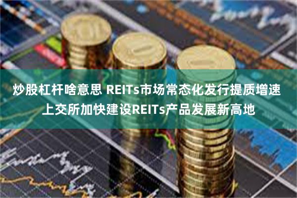 炒股杠杆啥意思 REITs市场常态化发行提质增速 上交所加快建设REITs产品发展新高地