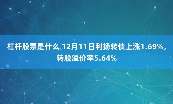 杠杆股票是什么 12月11日利扬转债上涨1.69%，转股溢价率5.64%