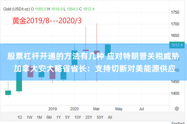 股票杠杆开通的方法有几种 应对特朗普关税威胁 加拿大安大略省省长：支持切断对美能源供应