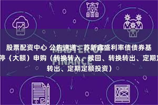 股票配资中心 公告速递：苏新鑫盛利率债债券基金基金暂停（大额）申购（转换转入、赎回、转换转出、定期定额投资）